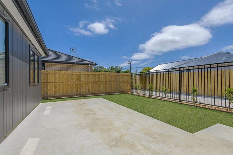 38 Hammond Street Bulls_17