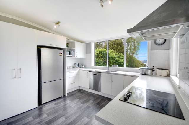 26 Henry Street Maori Hill_3