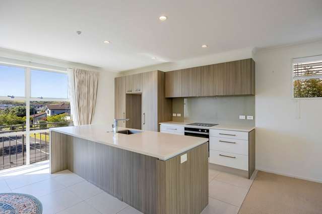 127 Barbarich Drive Stonefields_1