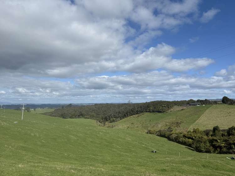 Mangati Road Puketotara_5