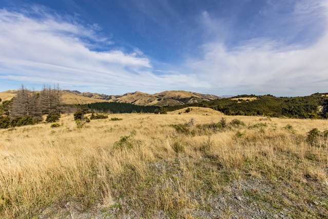 Enchanting Slice of New Zealand!