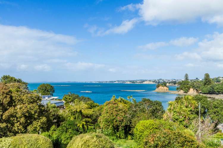 7 Ringwood Street Torbay_6