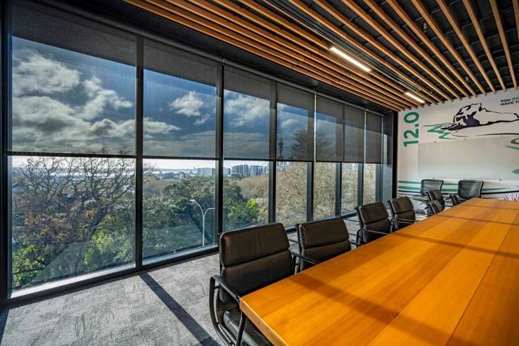 19 Hopetoun Street Ponsonby_9