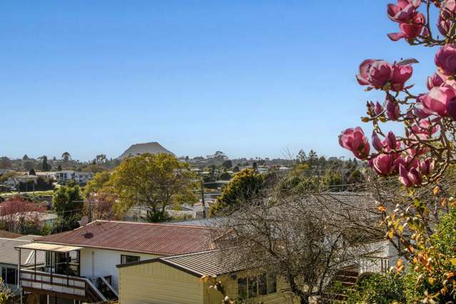 29 Linley Terrace Judea_4