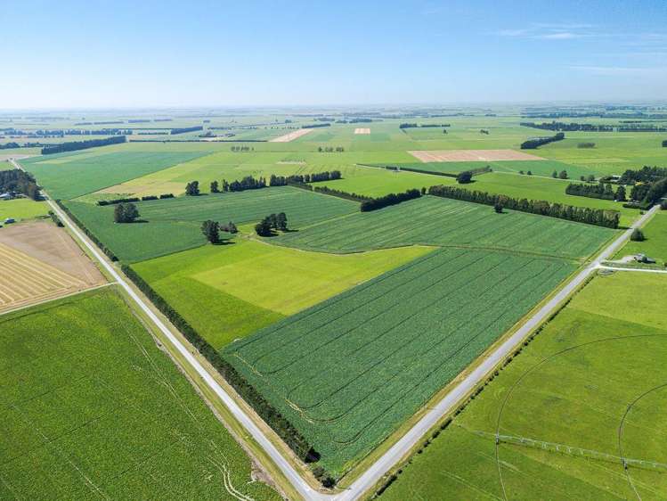 1710 Ealing Montalto Road Ashburton_2