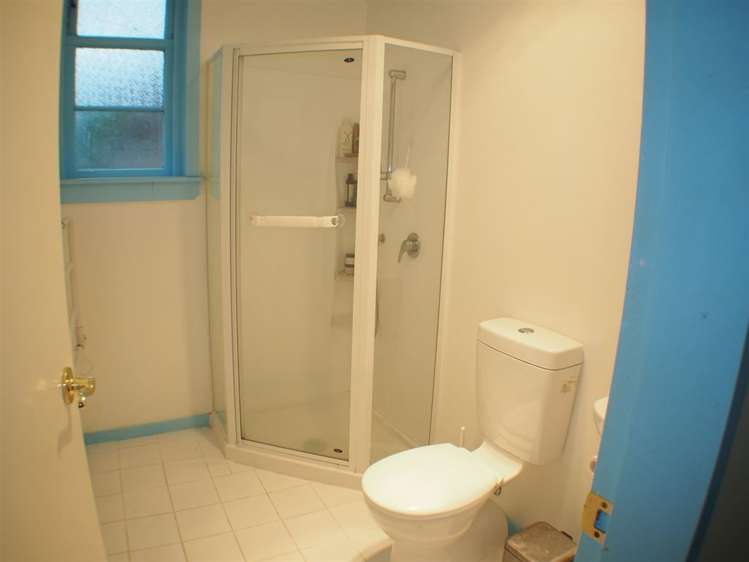 29 Devon Street Aro Valley_13