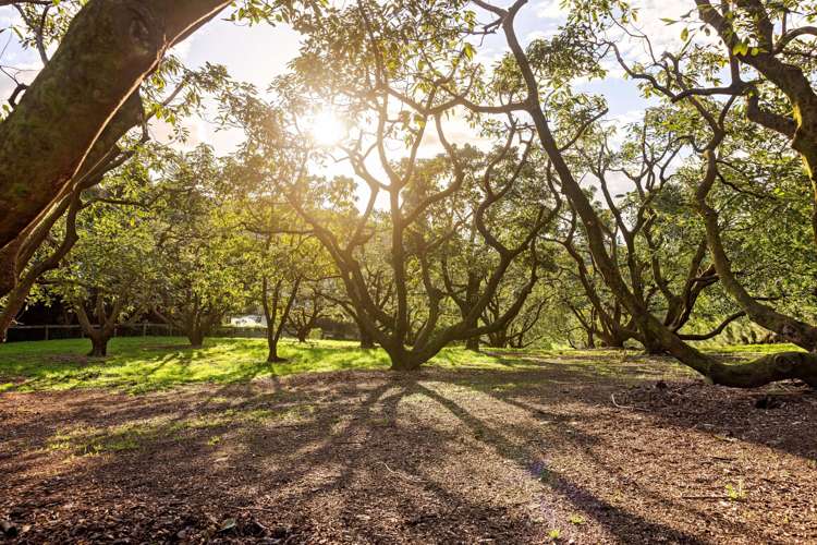 38 Vernon Road Te Puna_34