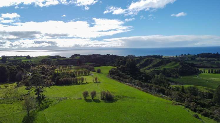 915 Takaka-Collingwood Highway_5