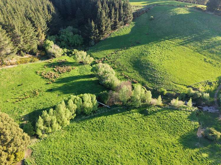 571 Three Mile Hill Road North Taieri_33