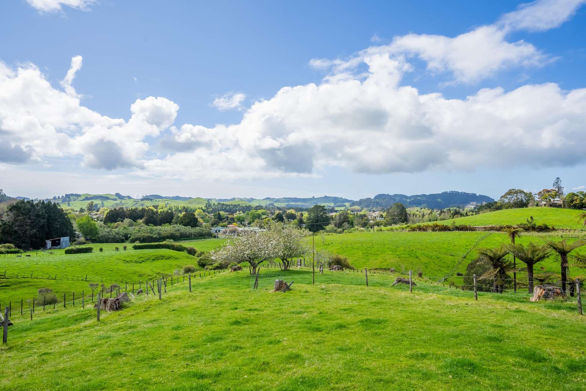 120C Bulltown Road Waihi_0