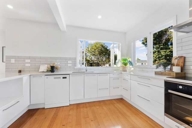 486 Hillsborough Road Mount Roskill_1