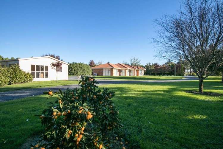 297 Bellevue Road Matangi_27