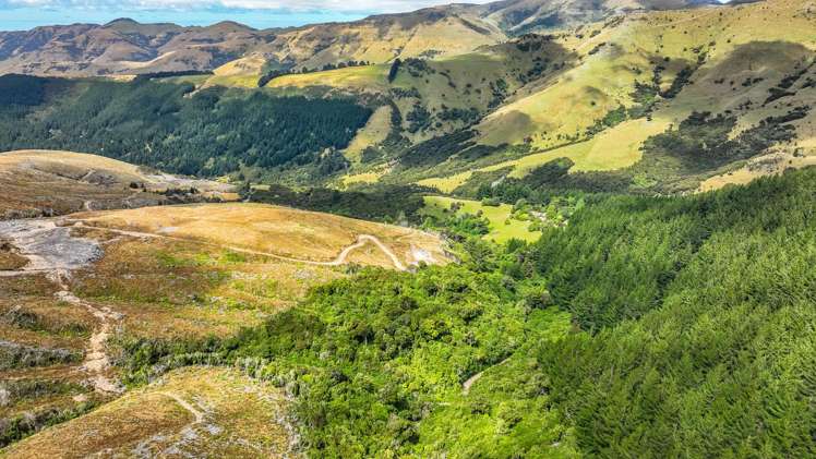 1467 Western Valley Road Port Levy_13