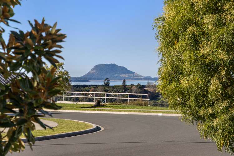 23 Kahawai Place Omokoroa_5