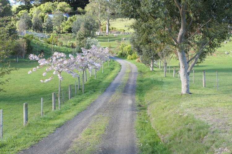 194 Okains Bay Road Akaroa_25