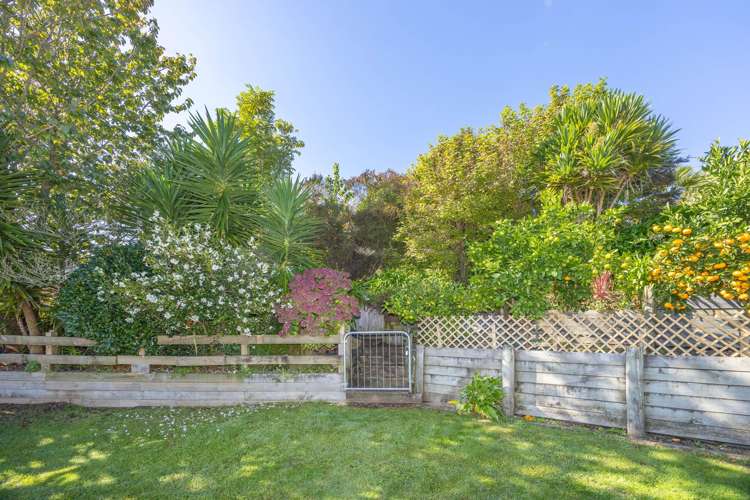 5 Fare Vue Lane Otorohanga_12