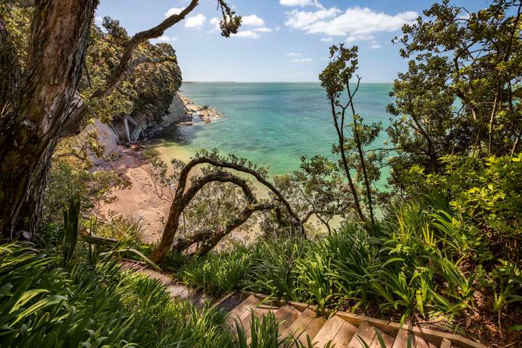 16 Seacliffe Avenue Belmont_11