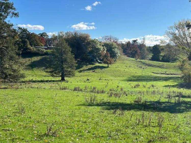 207 Rotowai Road Omakere_9