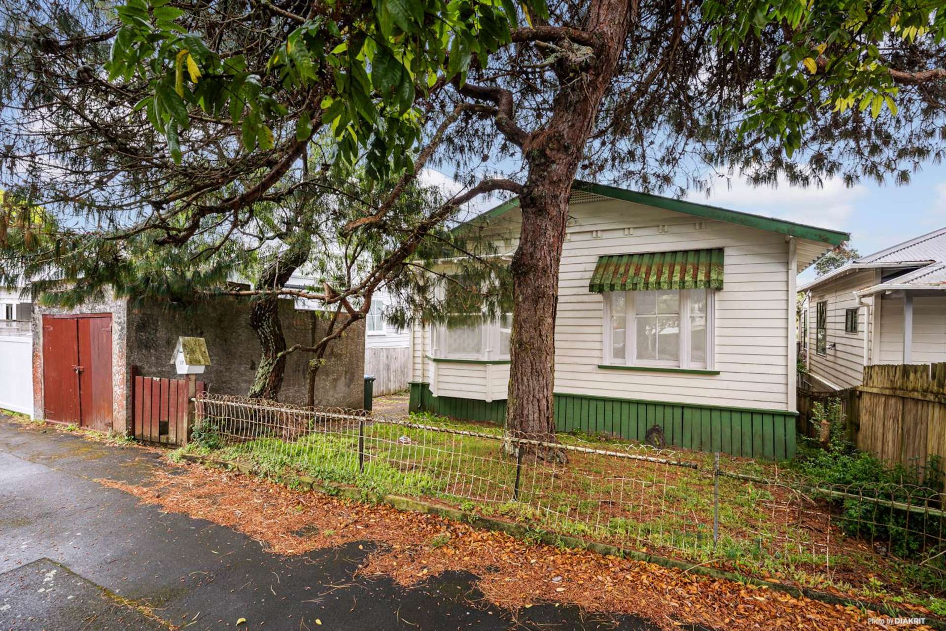 17 Carmen Avenue Mt Eden_0