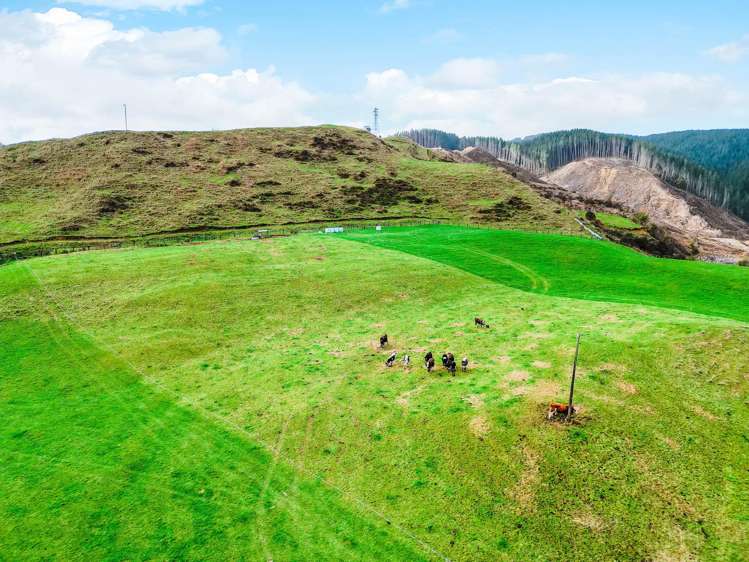 3789 State Highway 4 Ongarue_20