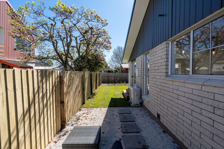 38 Young Street Somerfield_25