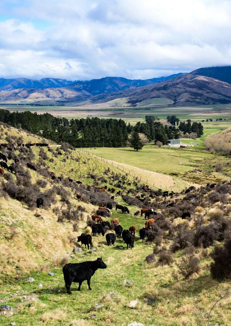 3733 Lees Valley Road Lees Valley_9