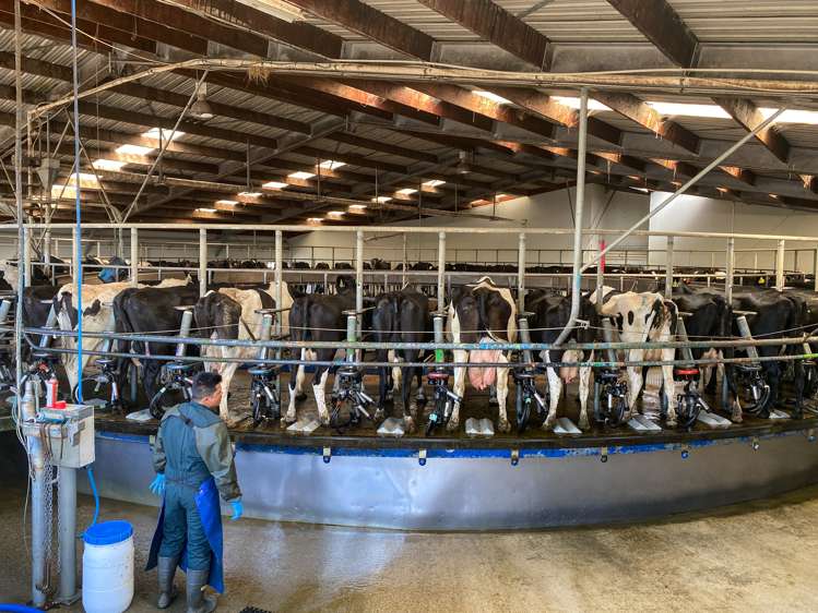 179 Dunlop Street Wallacetown_13