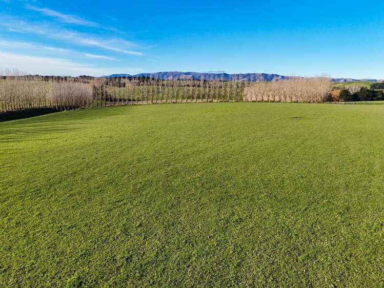 348 Koi Road Waikoikoi_6