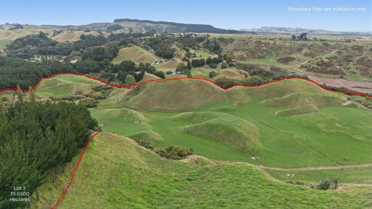 147A Pikowai Road Pikowai_5