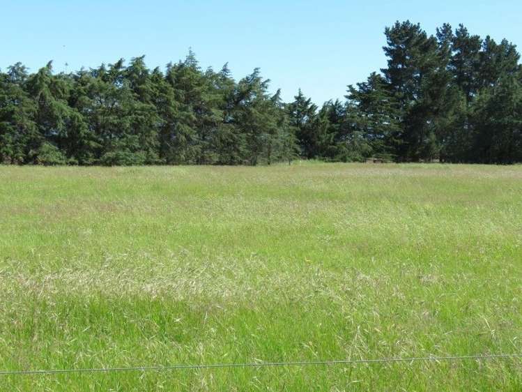 2730 South Eyre Road West Eyreton_17