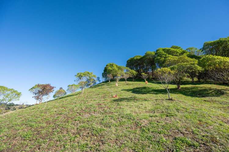 41 Saint Lawrence Street Toi Toi_14