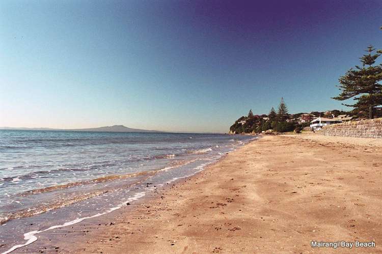 172 Beach Road Campbells Bay_32