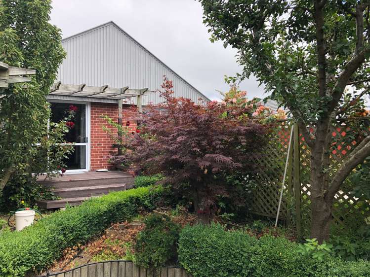 5 Montague Street Islington_15