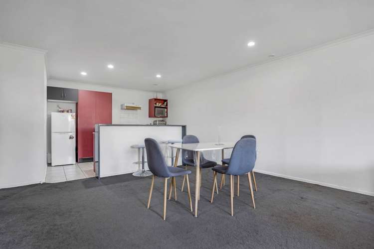 19 Ksenia Drive Flat Bush_3