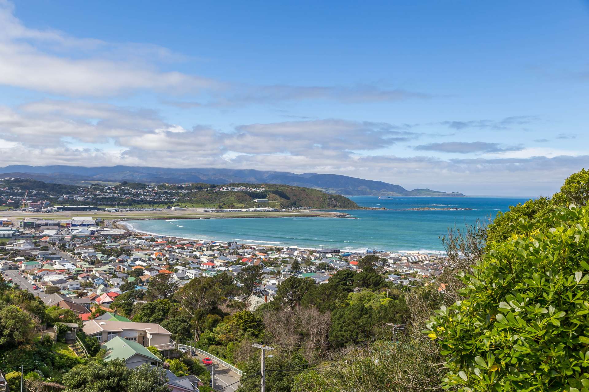 80 Sutherland Road Melrose_0