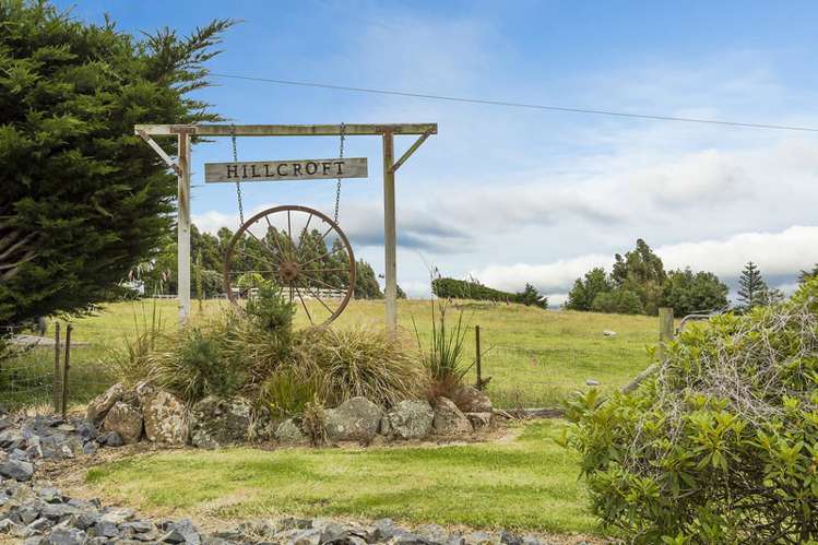 156 Halfway Bush Road Halfway Bush_18