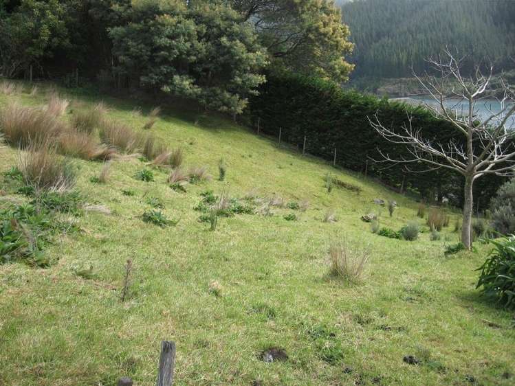 395 Cissy Bay Road Marlborough Sounds_6