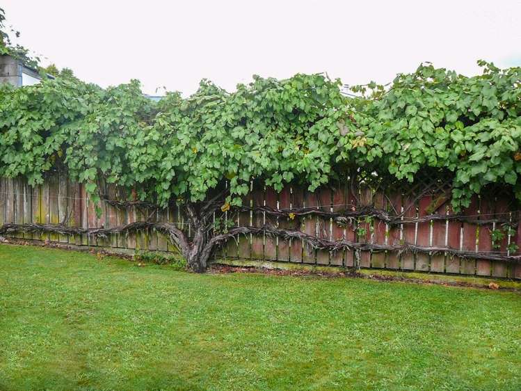 7 Rota Street Turangi_9