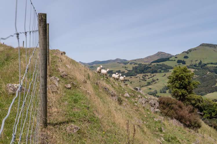 175 Barrys Bay Valley Road Barrys Bay_27