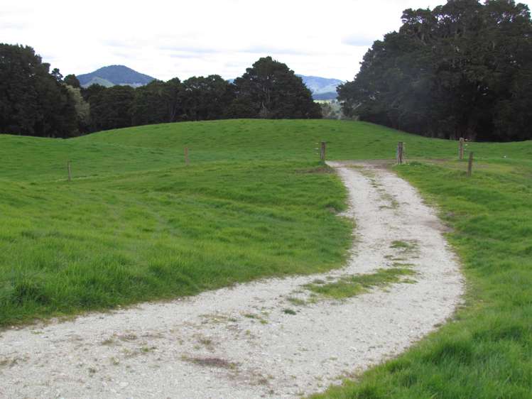 Tremain Road Ruatangata West_14