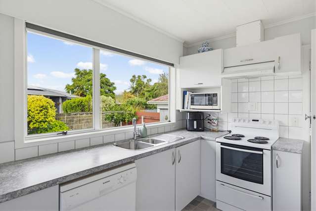 24 Featherston Street Levin_4