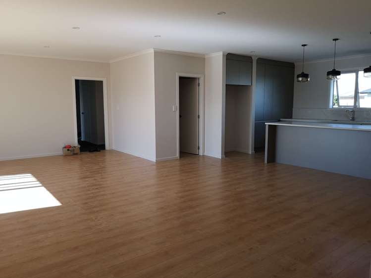 3 Pukeko Grove Cambridge_6