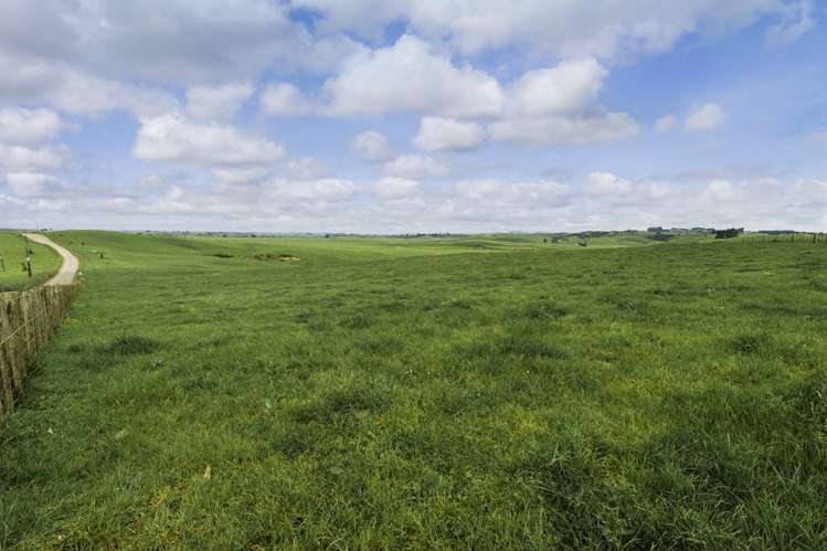 590e Koheroa Road Mangatawhiri_15