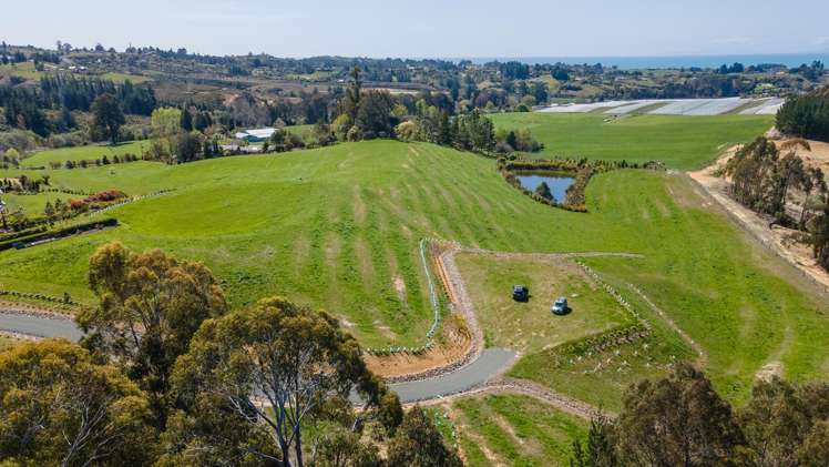 171 Dominion Road Mahana_12