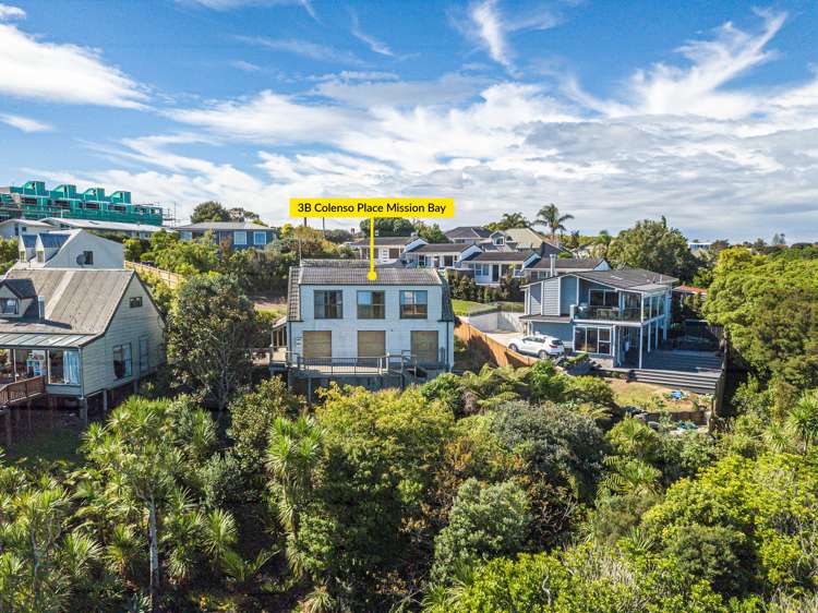 3b Colenso Place Mission Bay_5