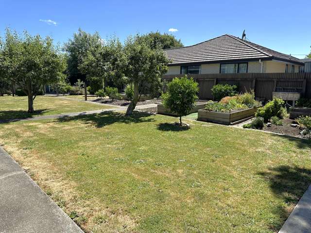 9 Leefield Street Blenheim_2