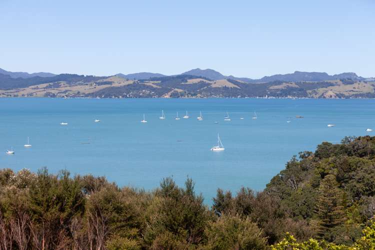 998 Wyuna Bay Road Coromandel ThamesCoromandel Houses for Sale