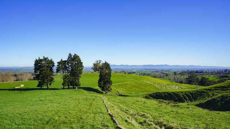 Lot 4, 151 Hill Road Te Aroha_4