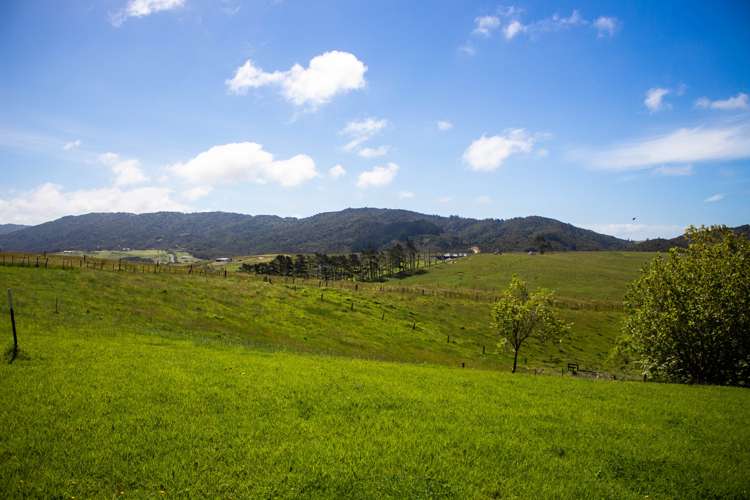 47 Cullen Street Mangawhai Heads_1