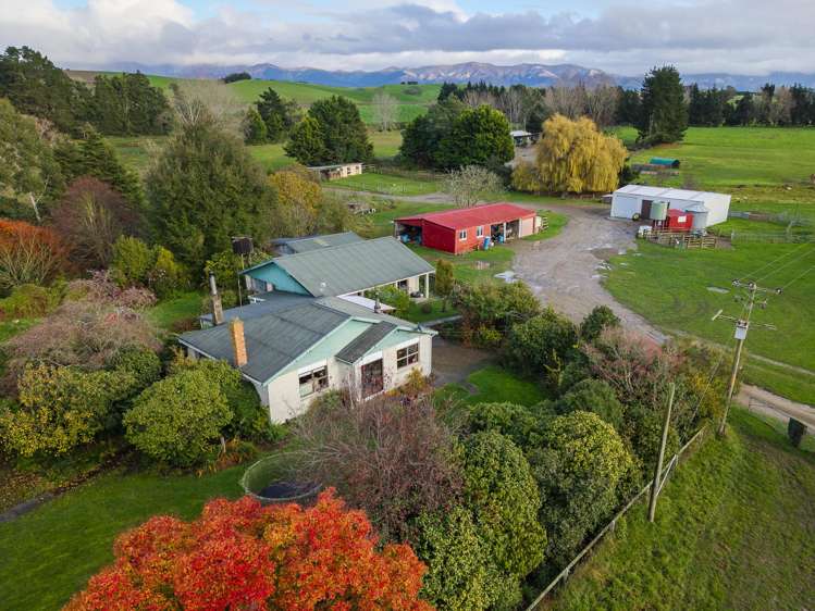 315 Woolshed Valley Road Otaio_6